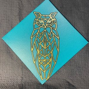 Geo owl painting on 8x8 canvas board